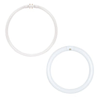 Circular