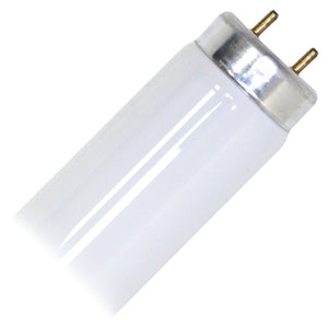 T10 Fluorescent 