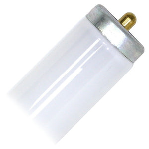 T12 Fluorescent 