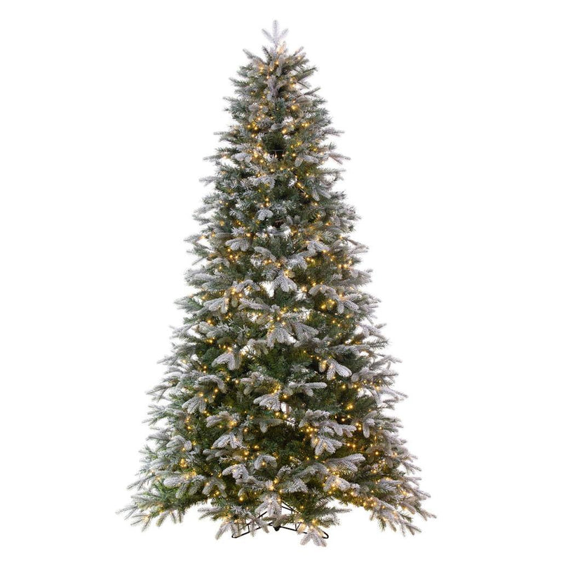 6.5' x 50" Artificial Frosted Douglas Fir 1400 Warm White LED Lights 1