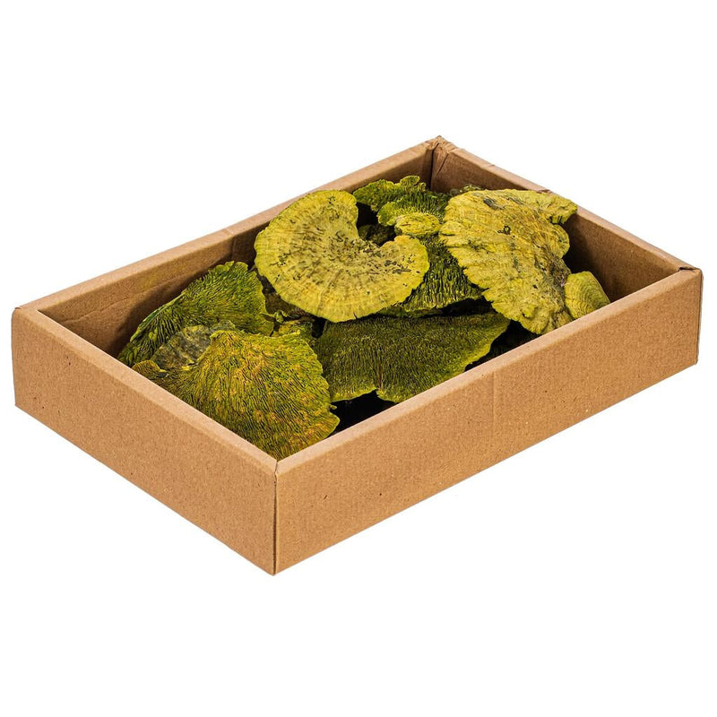 Dried and Preserved Filler