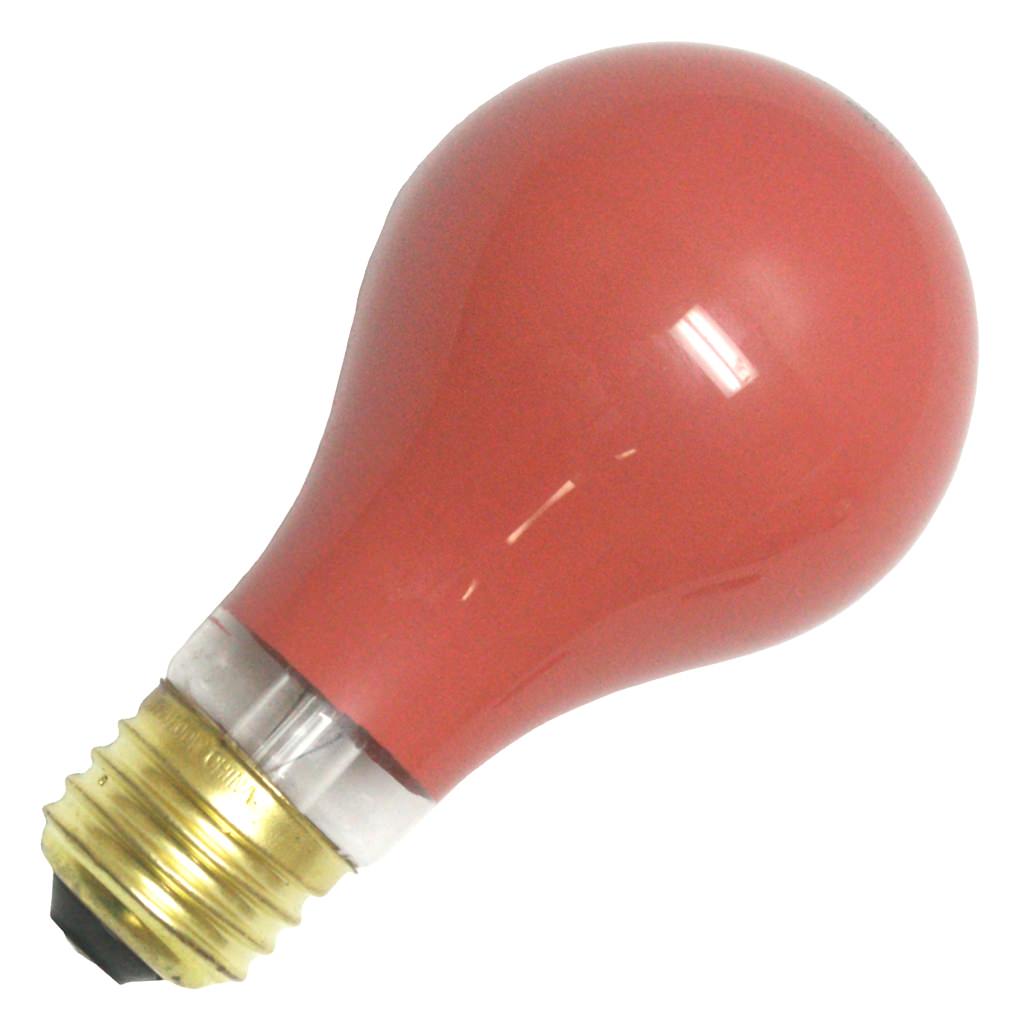 Damar 100 watt 130 volt A19 Medium Screw Base Red