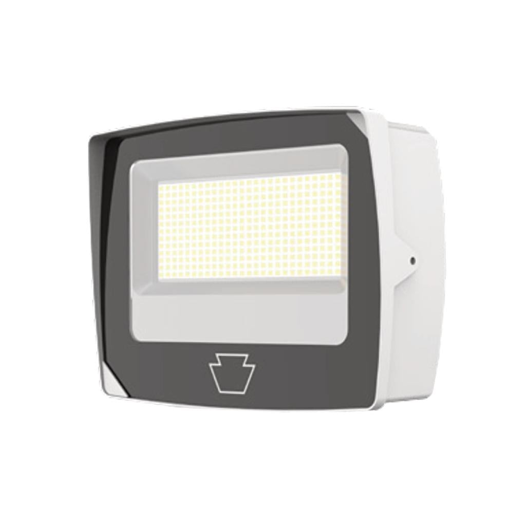 Keystone 15 watt 120/277 volt 5000K White LED Flood Light