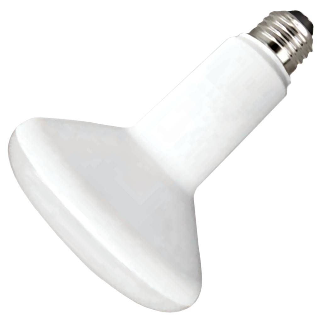 TCP BR30 8W 5000K LED Light Bulb