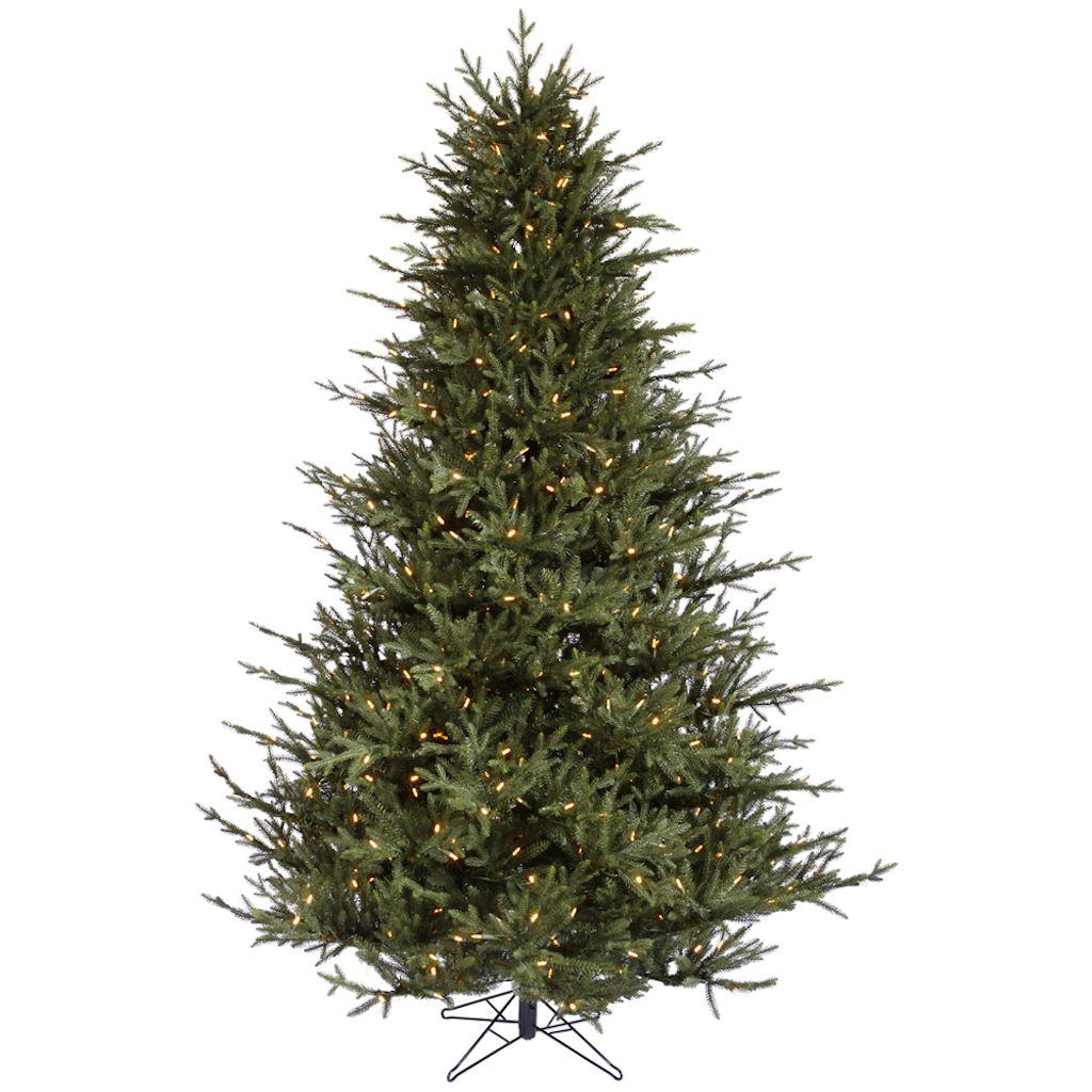 Vickerman 12' x 93" Artificial Itasca Frasier Fir 2,000 Warm White Italian LED Lights