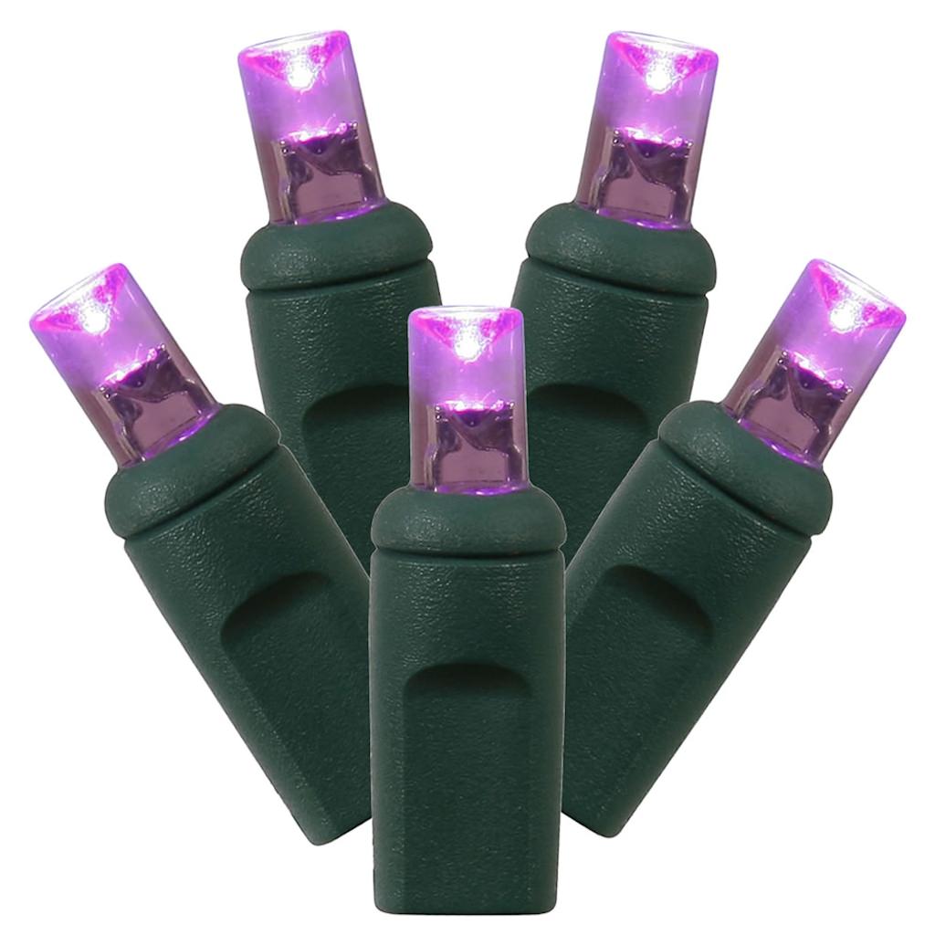 Vickerman 100 Light 34' Green Wire Purple Wide Angle LED Lights with 4" Spacing
