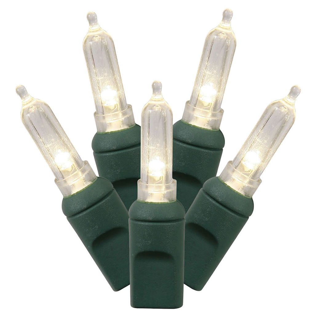 Vickerman 50 Light 25' Green Wire Warm White Italian LED Miniature String with 6" Spacing