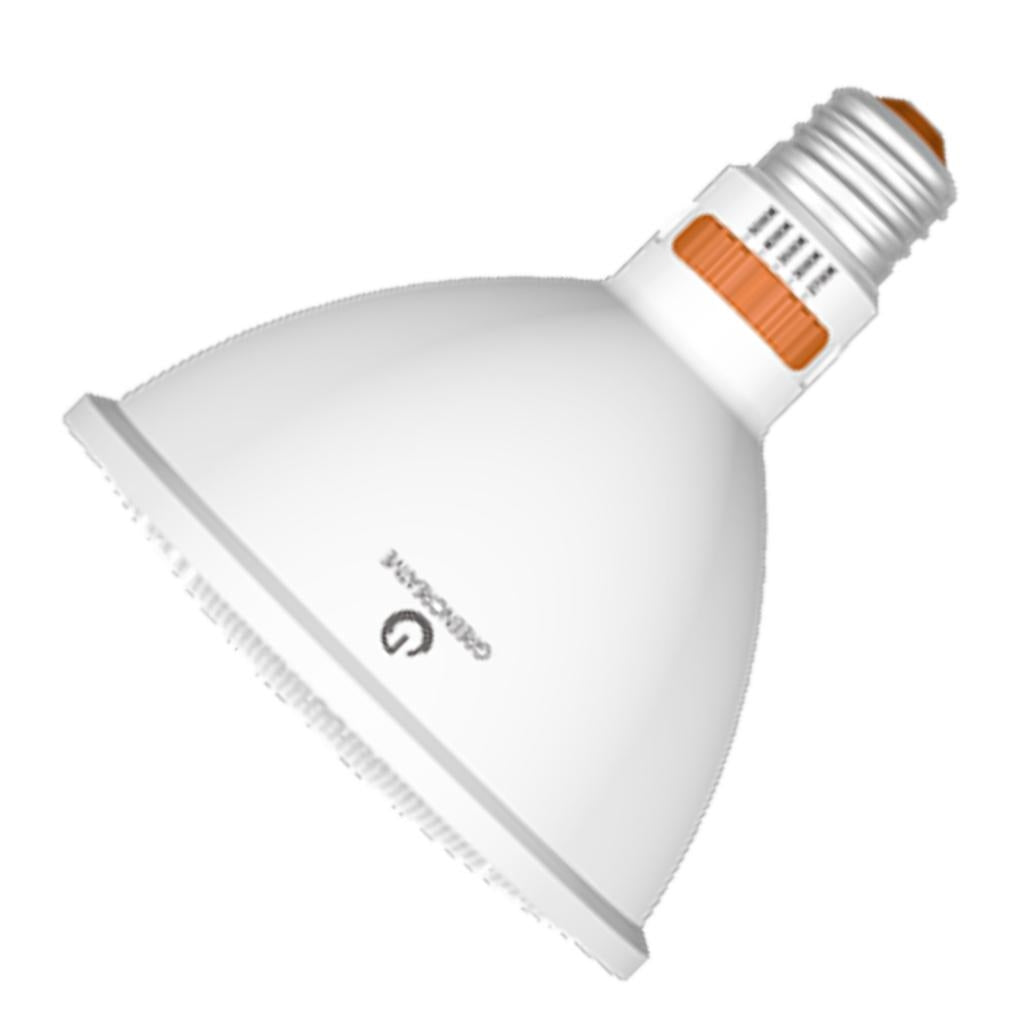 Green Creative PAR38 17W 5000K LED Light Bulb