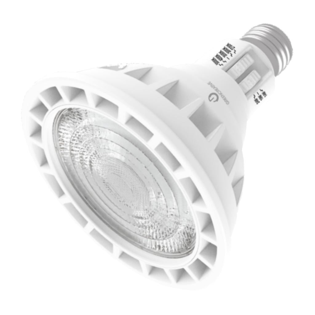 Green Creative PAR38 24W 5000K LED Light Bulb