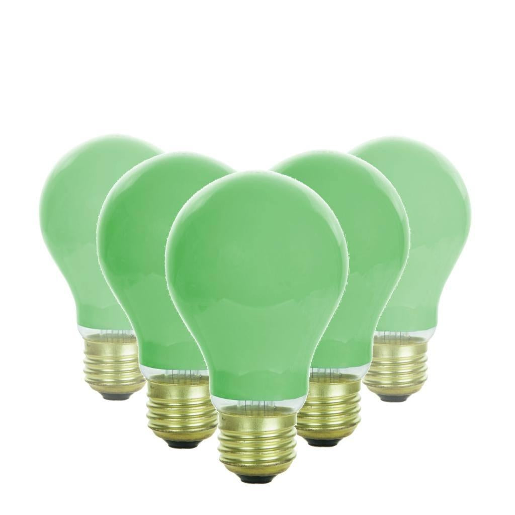 40 watt 120 volt A19 Green Medium Screw Base Ceramic Incandescent Light Bulb (6 Pack)