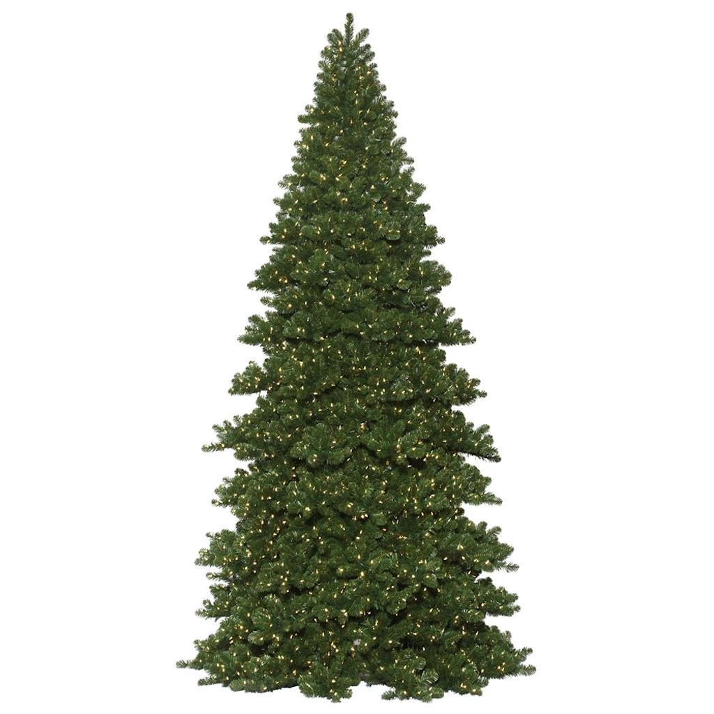 Vickerman 18' x 96" Artificial Oregon Fir Frame Tree 9900 Warm White LED Lights