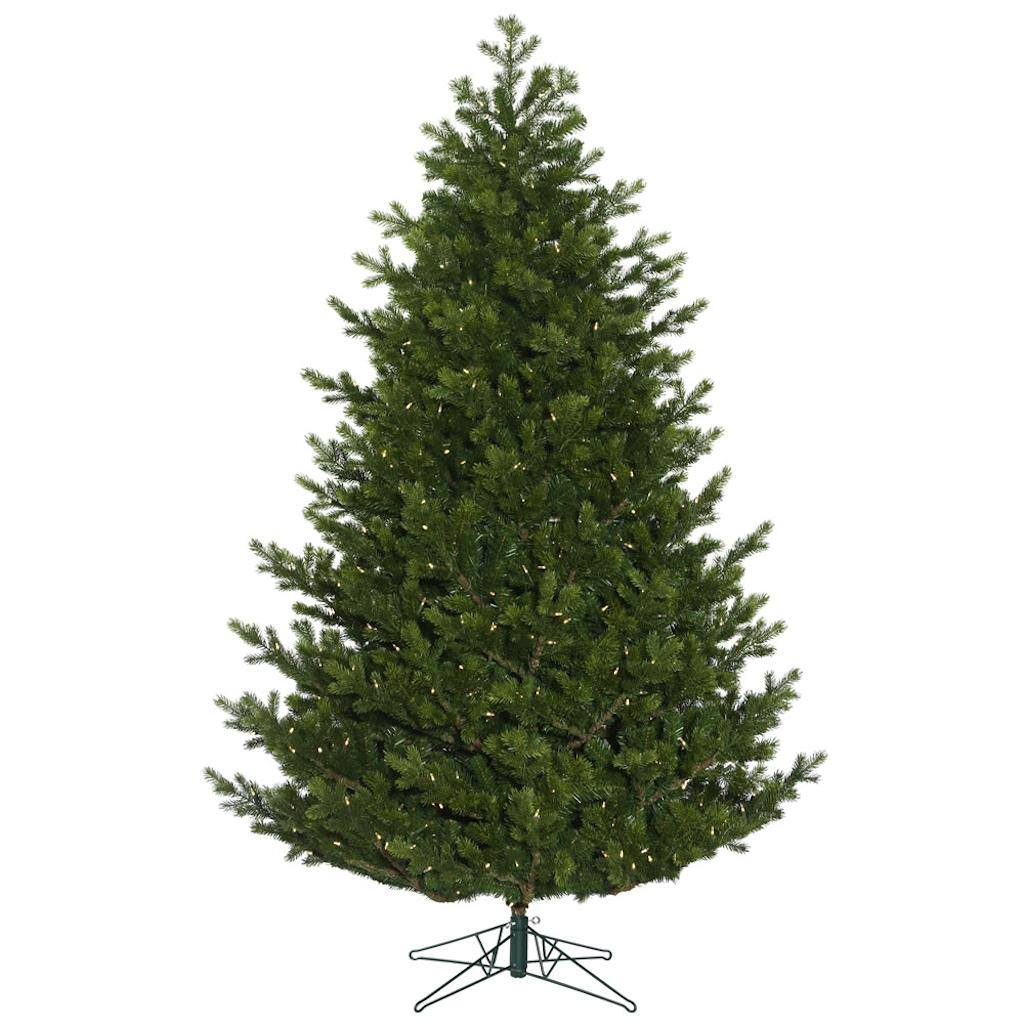 Vickerman 12' x 96" Artificial Eagle Frasier Fir 2000 Warm White LED Lights