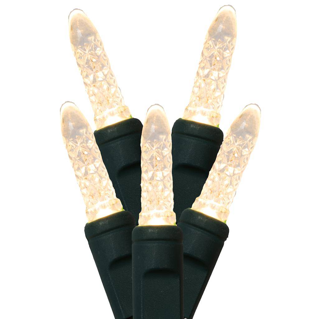 Vickerman 50 Light 17' Green Wire Warm White M5 Faceted LED String Light Set with 4" Spacing