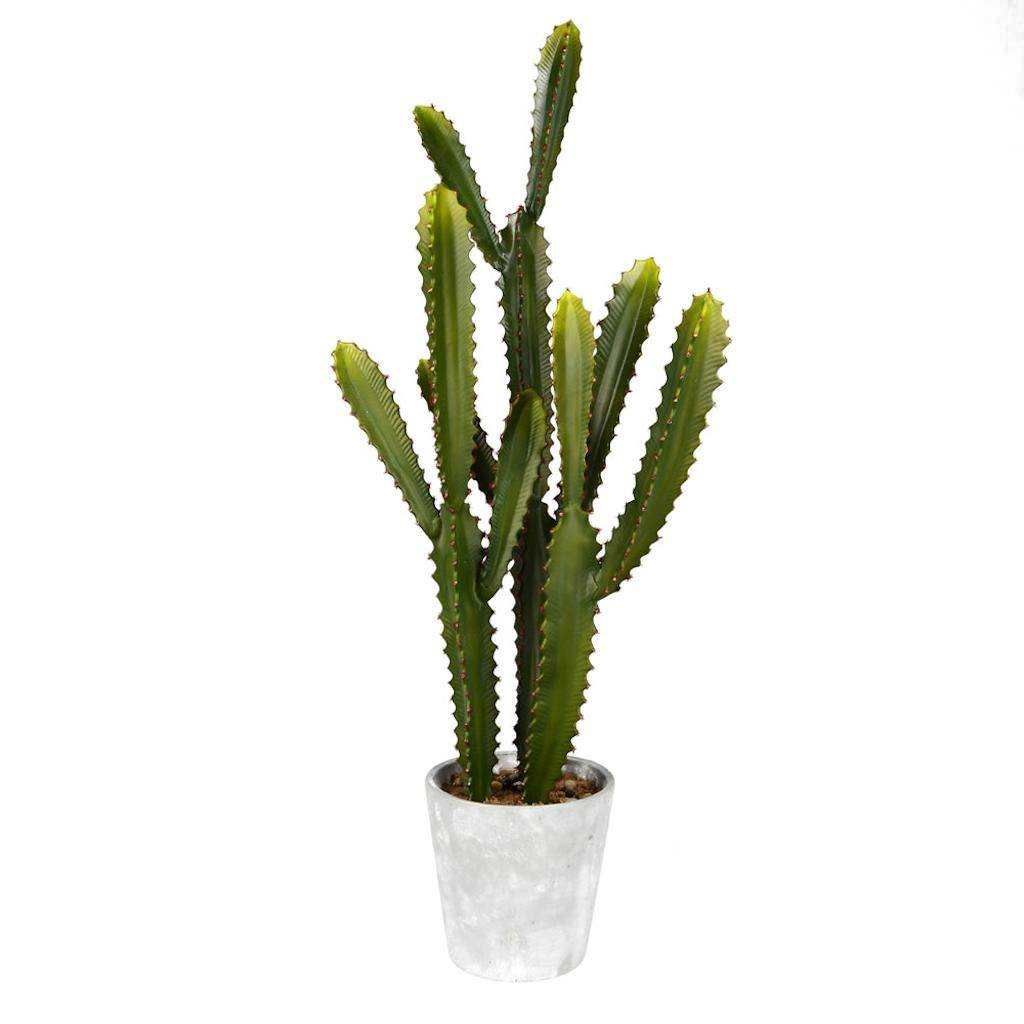 Vickerman 29" Artificial Green Cactus in Concrete Pot