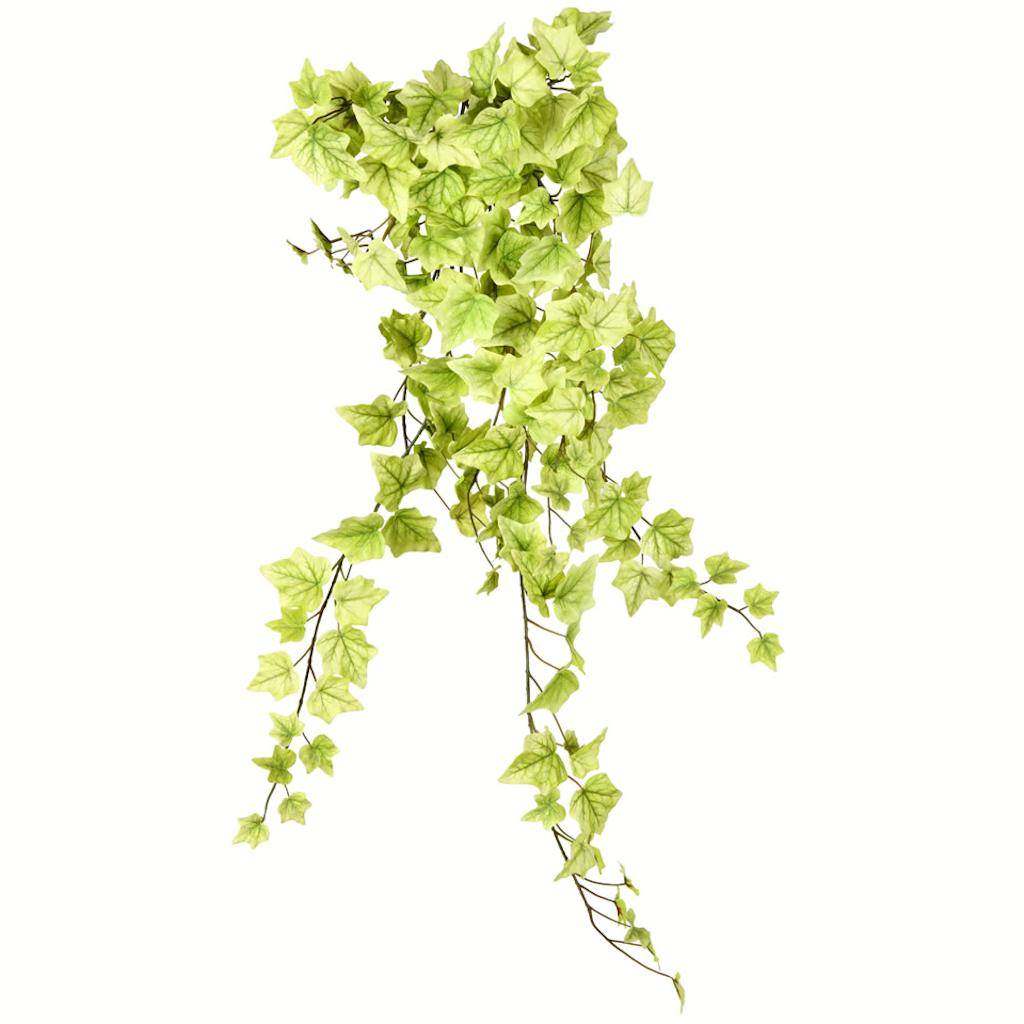Vickerman 34" Artificial Light Green Ivy Hanging Bush
