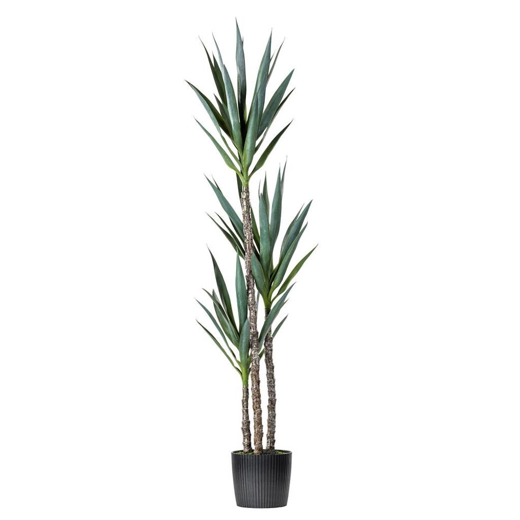 Vickerman 5' Artificial Green Potted Yucca Tree