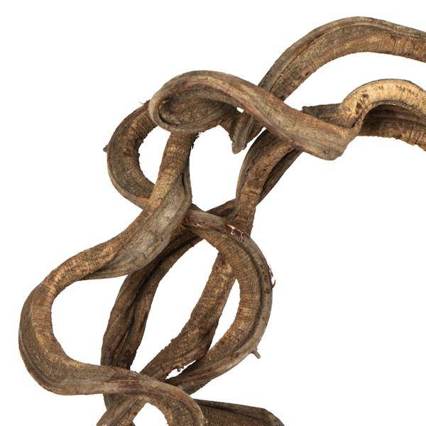 13"-15" Natural Dried Vine Coil - Image 3