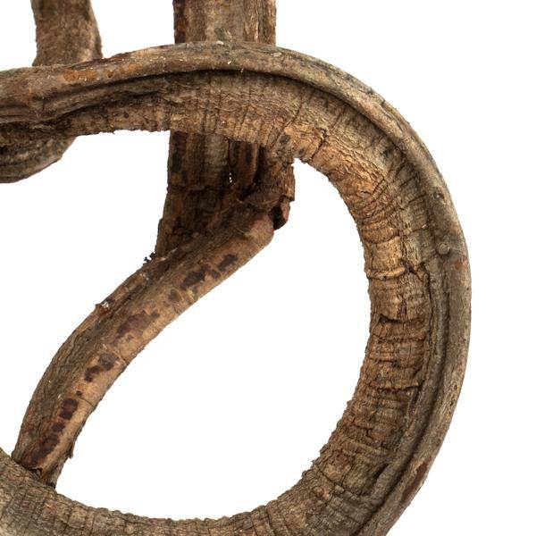 13"-15" Natural Dried Vine Coil - Image 4