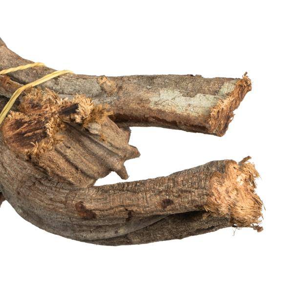 18"-22" Natural Dried Twisted Vine Bundle (3 pieces in a bundle) - Image 4