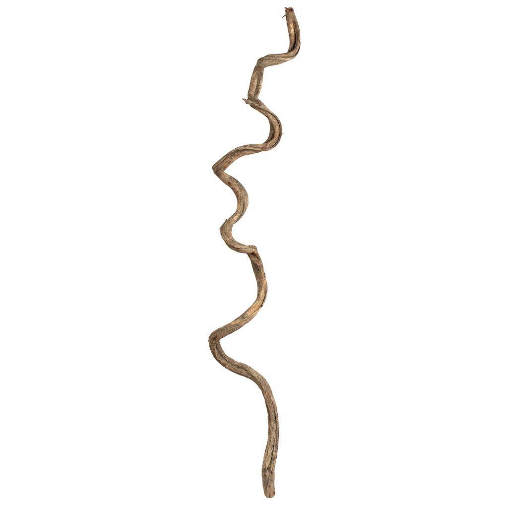 Vickerman 38"-45" Natural Dried Twisted Vine (2 pack)