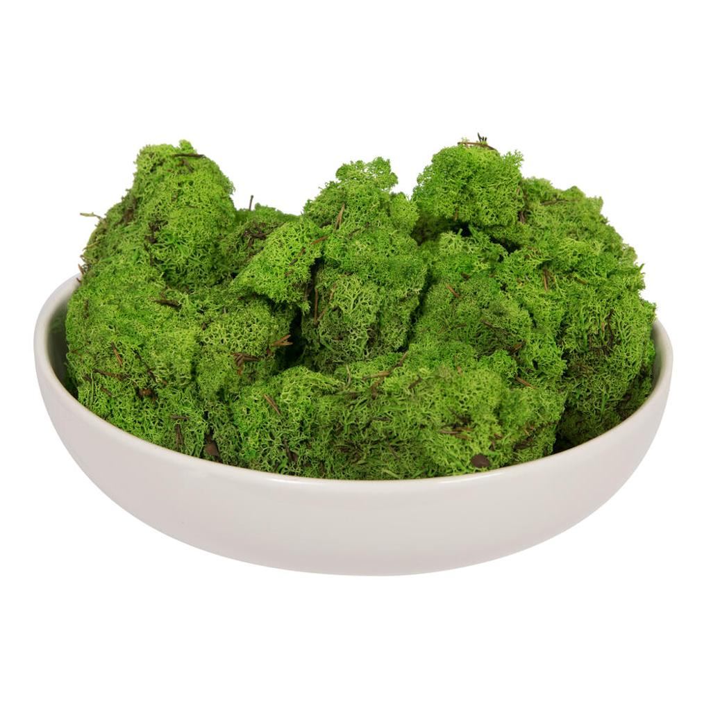 2Lbs Grass Green Moss Dried and Preserved Natural Botanicals