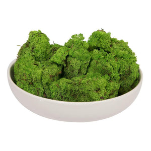 2Lbs Grass Green Moss Dried and Preserved Natural Botanicals