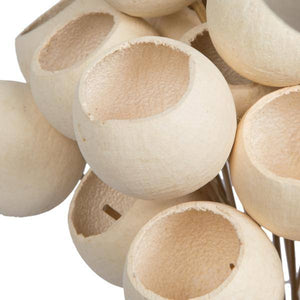 20" Bell Cup Bleached Stem (40 Pack) - Image 5