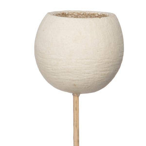 20" Bell Cup Bleached Stem (40 Pack) - Image 2