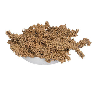 6"-8" Natural Canella (25 Pack) - Image 4