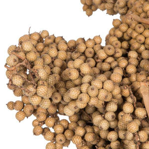 6"-8" Natural Canella (25 Pack) - Image 2
