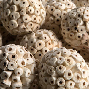 2.4" Sola Ata Ball (50 Pack) - Image 2