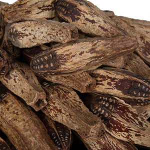 2.8" Mahogany Pods (100 Pack) - Image 2