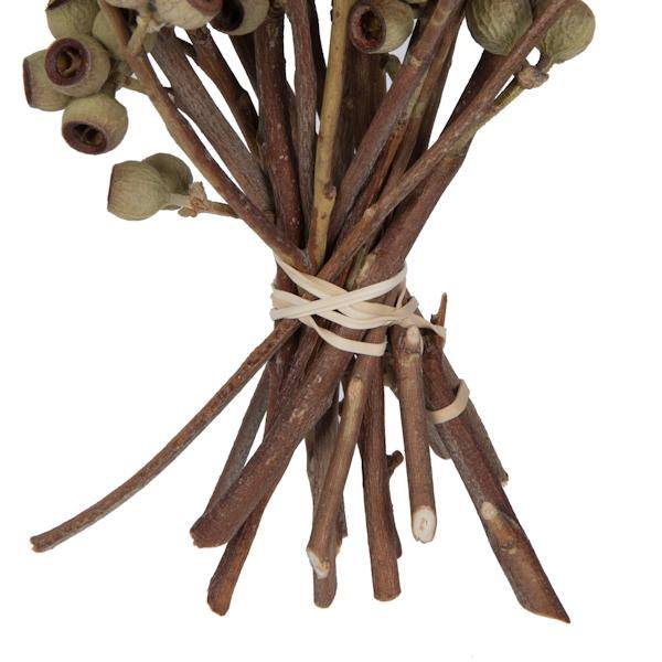 14"x1-3" Ambernut Branch (20 Pack) - Image 5