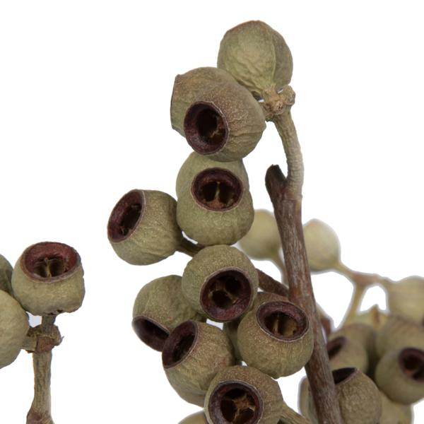 14"x1-3" Ambernut Branch (20 Pack) - Image 2