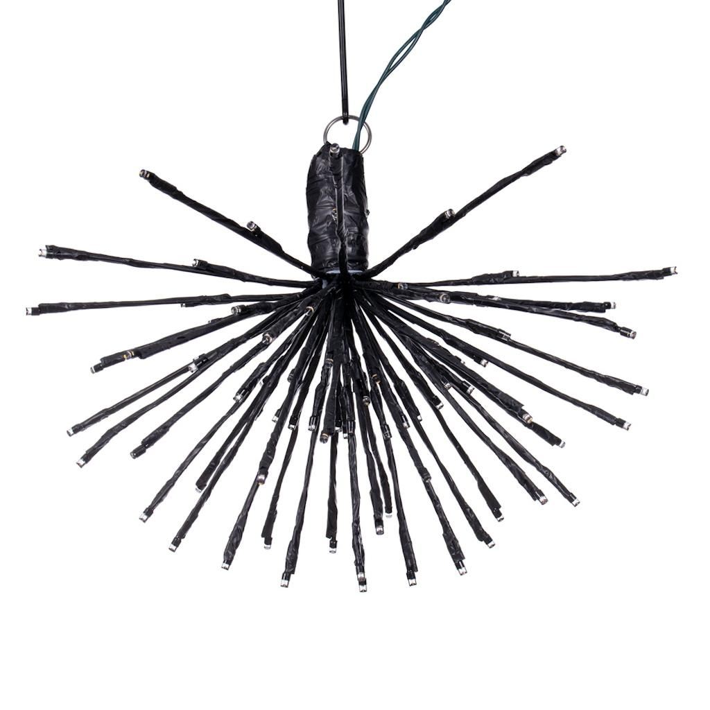 Vickerman 80 Light x 16" 24 volt Black Wire Twinkle Warm White 5mm Lights Starburst LED