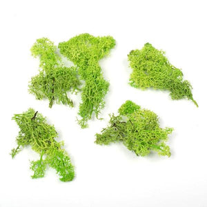 2lbs Apple Green Preserved Reindeer Moss Bundle - Image 2