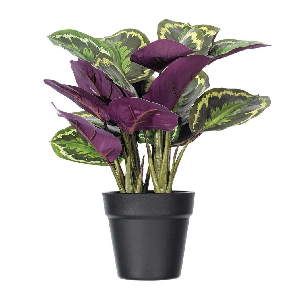 16" Artificial Calathea Veitchiana Potted Plant