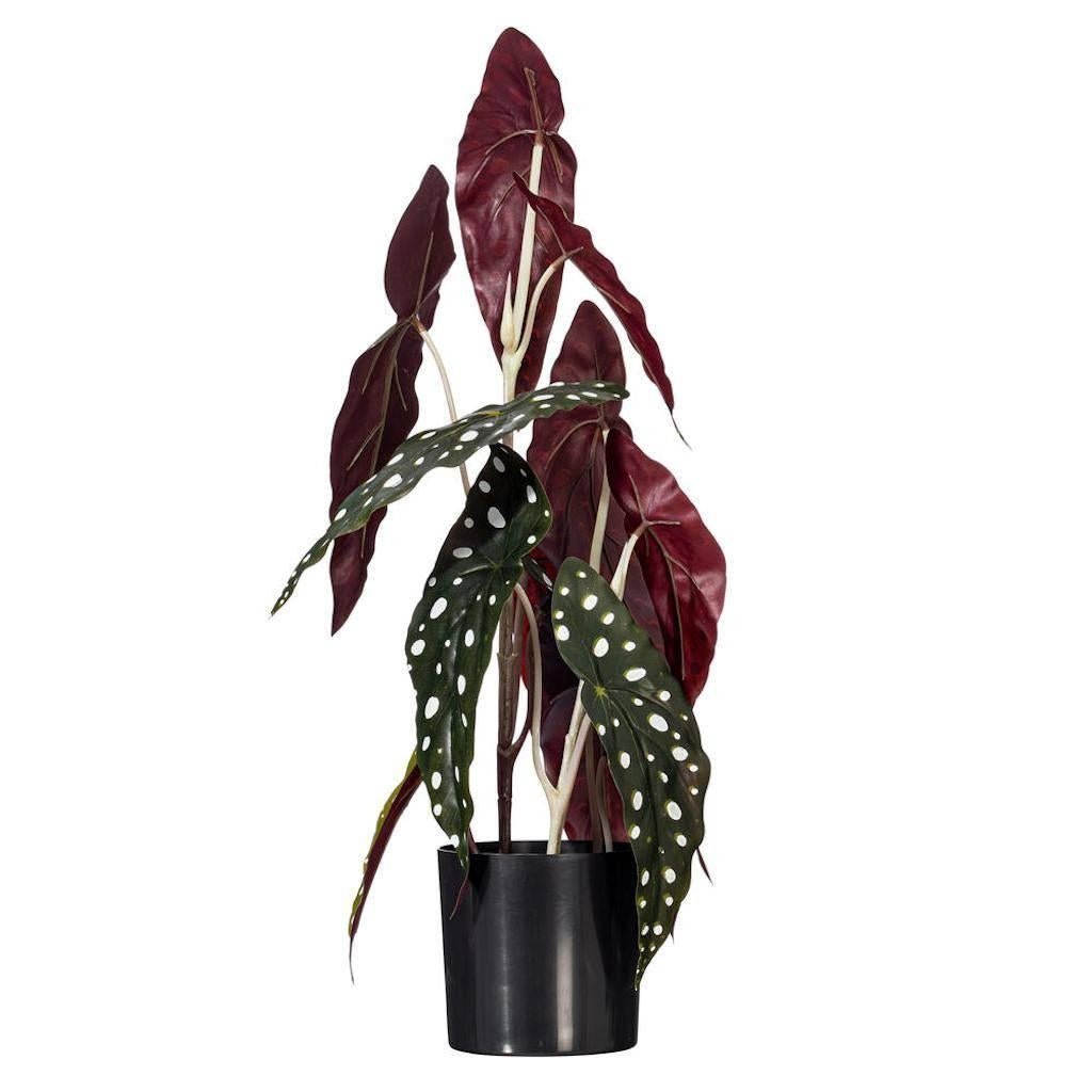 18" Artificial Begonia Maculata Potted Plant
