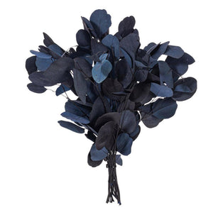 18-20" Dark Blue Populous Eucalyptus Natural Preserved Foliage
