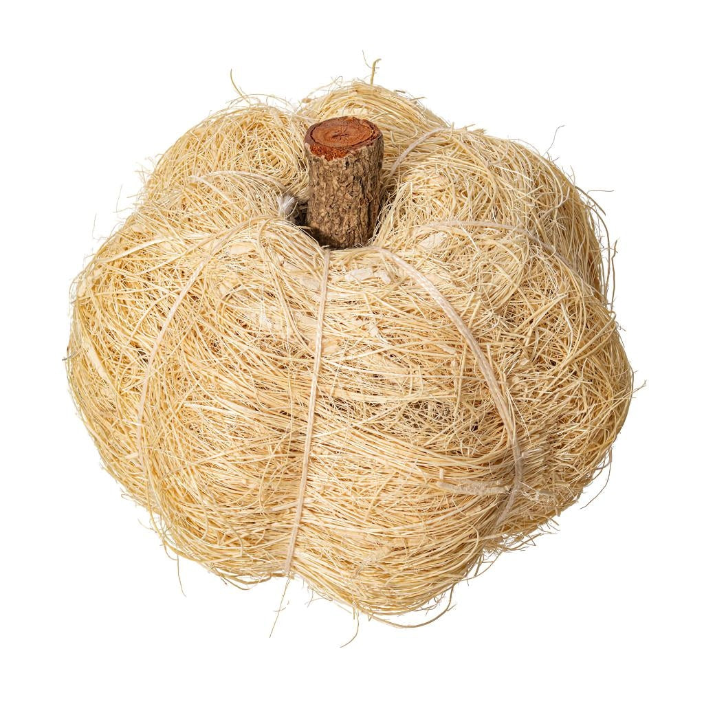 Vickerman 2.5"-3" Bleached Coconut Coir Pumpkin (24 Pack)