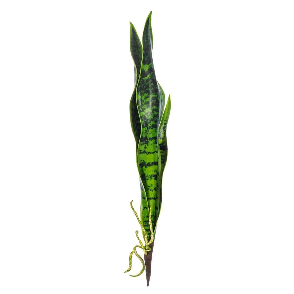 18" Artificial Green Sanseveria Pick (6 pack)