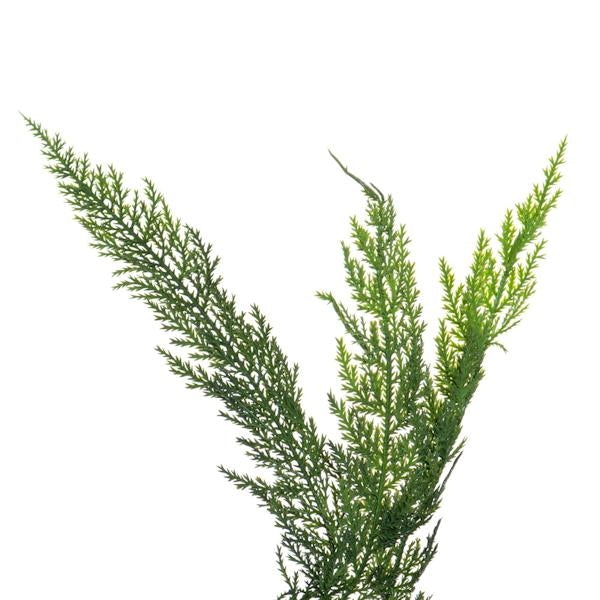 72" Green Long Stem Cypress Artificial Christmas Garland - Image 2
