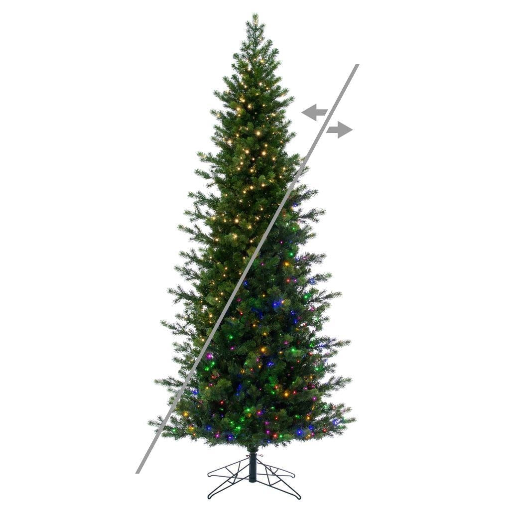 12' x 49" Eagle Fraser Slim 2500 LED Light Pre-Lit Artificial Christmas Tree