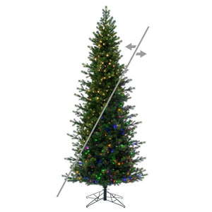 12' x 49" Eagle Fraser Slim 2500 LED Light Pre-Lit Artificial Christmas Tree