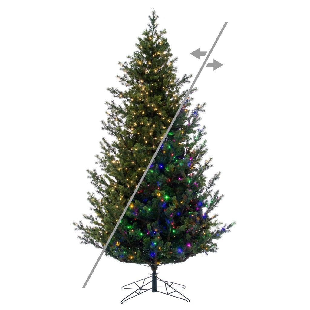 14' x 100" Eagle Fraser 3700 LED Light Prelit Artificial Christmas Tree