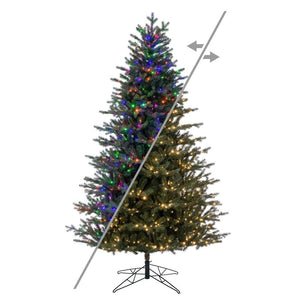 10' x 58" Washington Fraser 1700 LED Light Prelit Artificial Christmas Tree