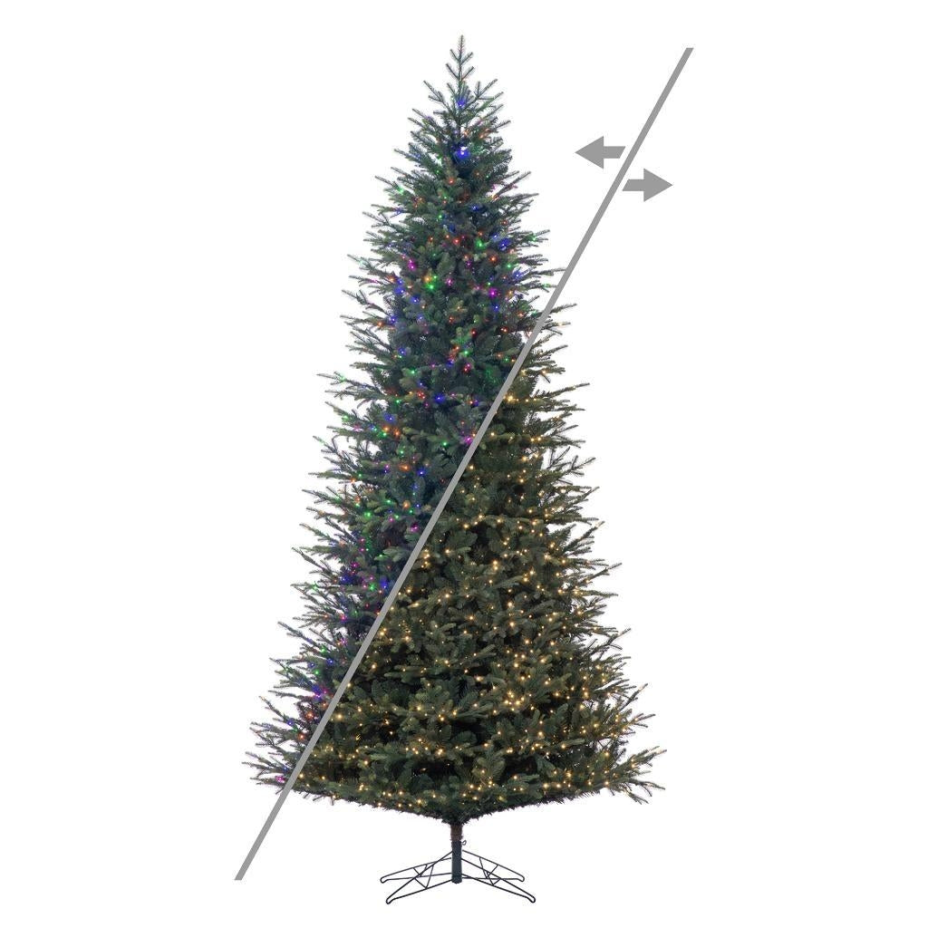 12' x 68" Orchard Fraser 2950 LED Light Pre-Lit Artificial Christmas Tree