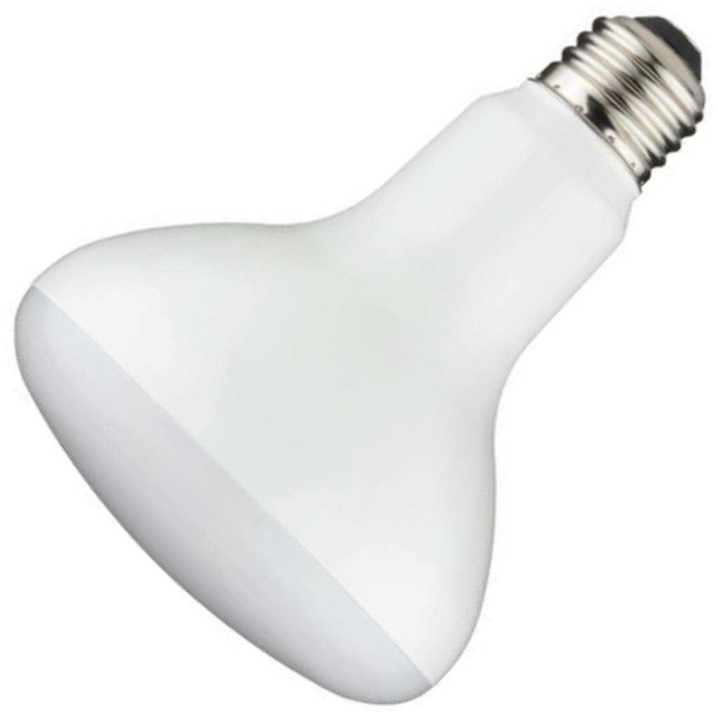 TCP BR30 9W 2700K LED Light Bulb