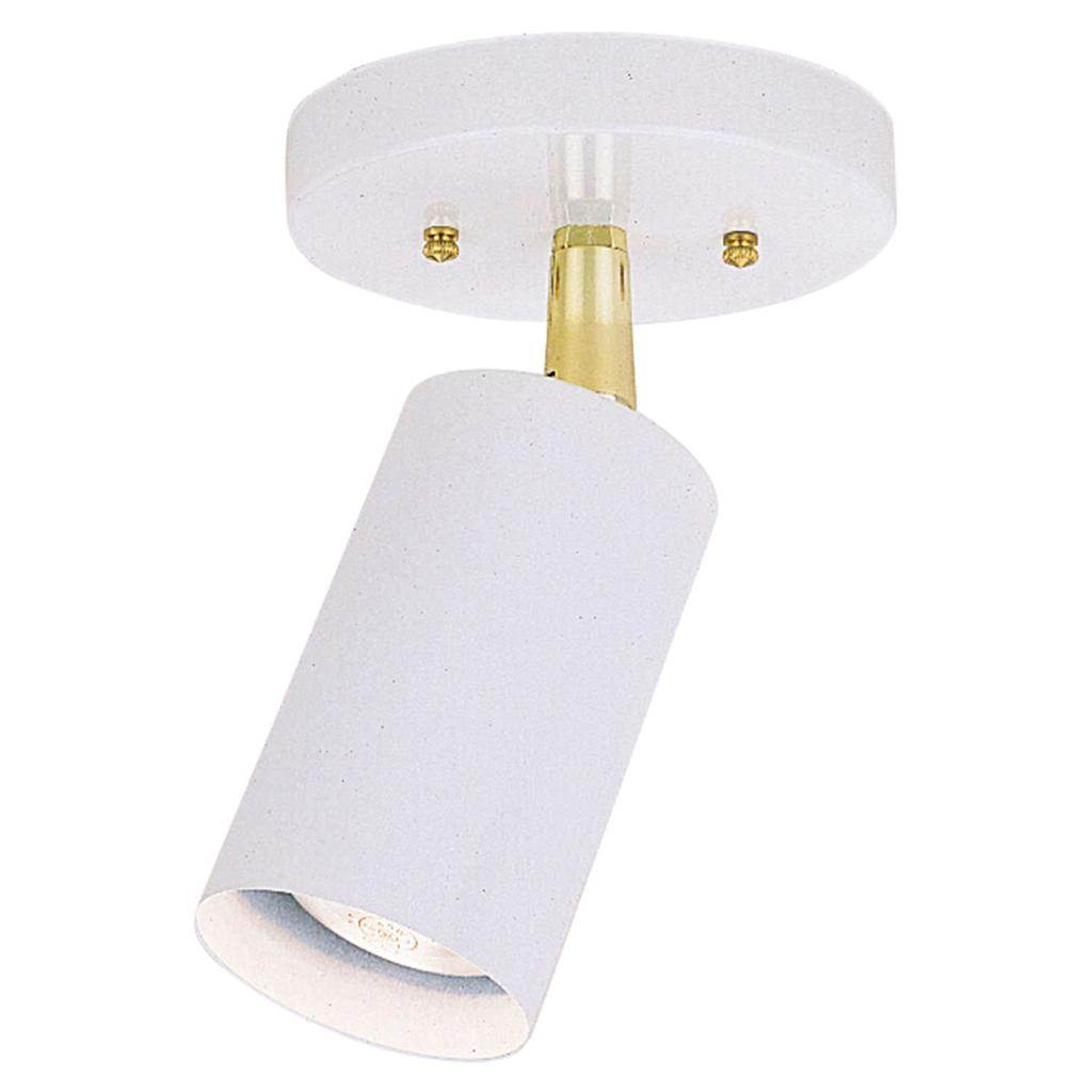 1 Light White Ceiling Light Fixture 1