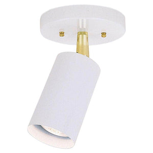 1 Light White Ceiling Light Fixture 1